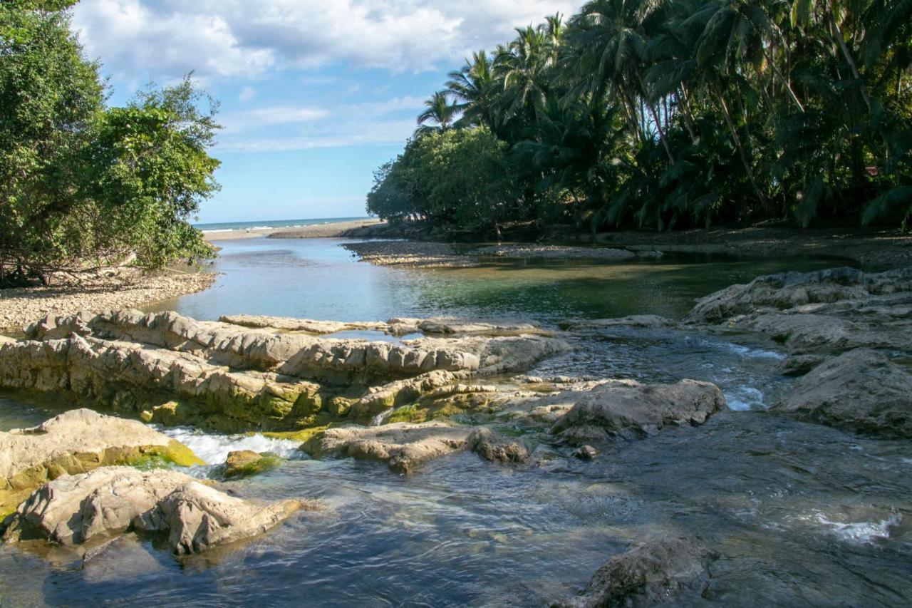 Villas Cabuya Beach & Jungle Extérieur photo
